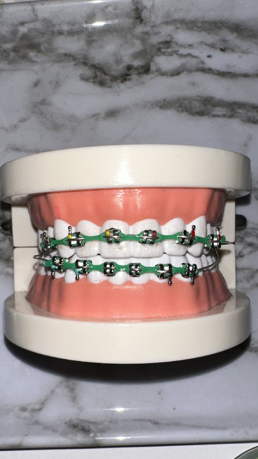 Powerchains FULL SET teeth model